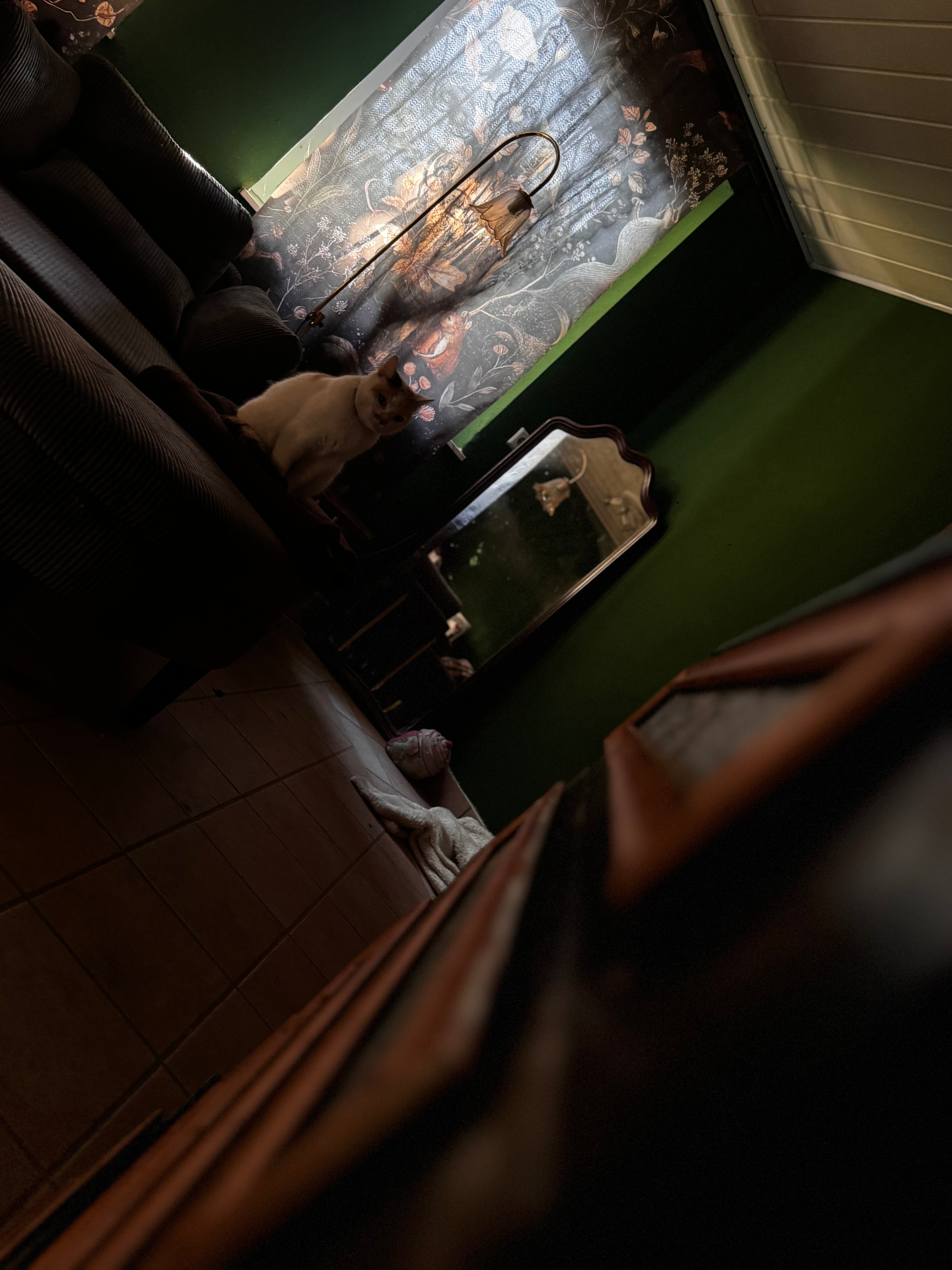 Wald Wellness All in One